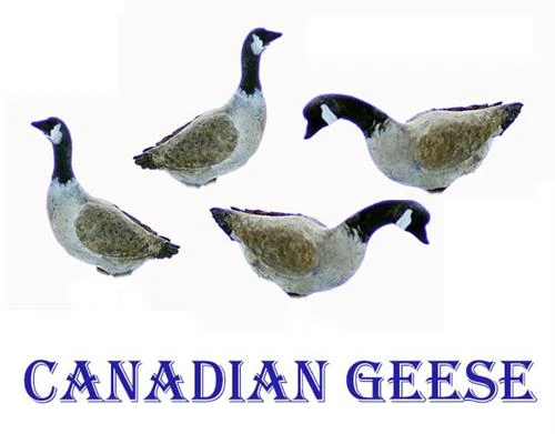 HO Scale GEESE Canadian Geese 4 Pack Unpainted Details 3 HO Scale GEESE Canadian Geese 4 Pack Unpainted Details