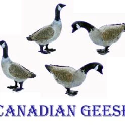 O Scale GEESE Canadian Geese 4 Pack Unpainted Details